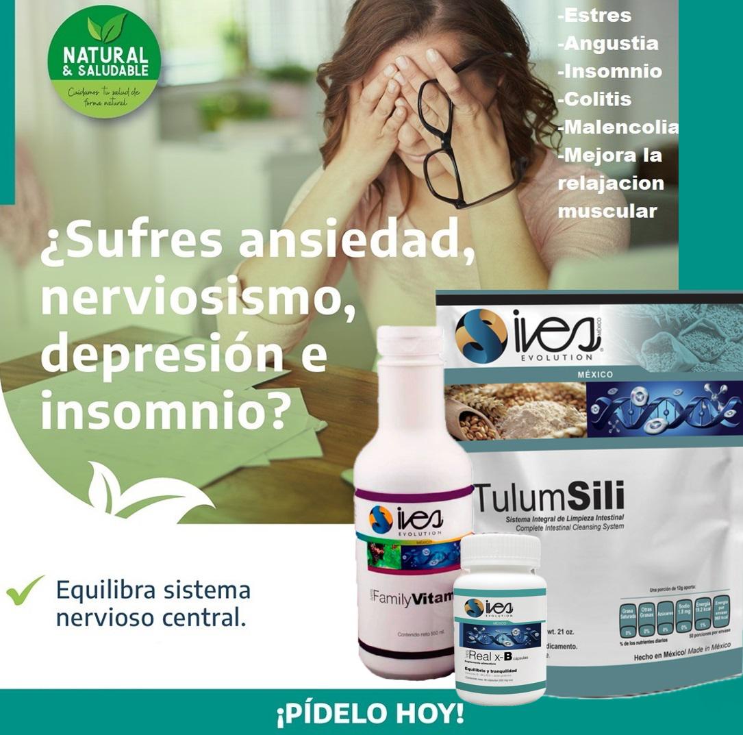 PLAN INTEGRAL  DEL SISTEMA NERVIOSO